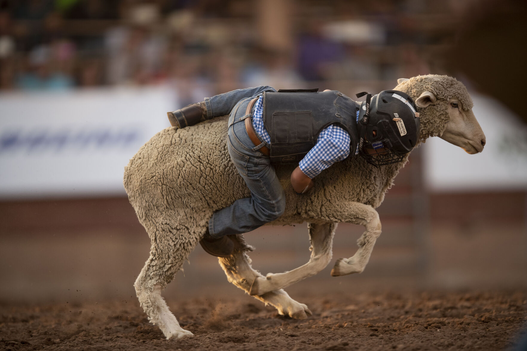 071621-s-rodeo 32.jpg